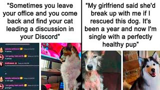 Heartwarming Memes To Remind You That There's Still Good in the World (New)