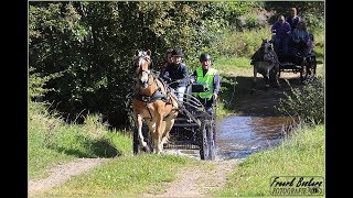 Buiten rijden in het mooie Westerwolde..........  [21-09-2019 FB]