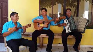 "Mi Vallegrande Querido" Interpreta Un Trio De Charango, Guitarra Y Acordeon. Video 2016.