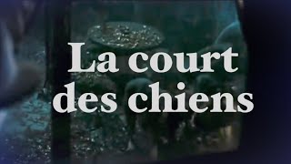 La court des chiens