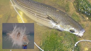 Tying a floating crumb fly for mullet