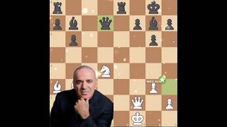 Garry Kasparov brilliance ✨🕊️#checkmate #sacrifice #brilliant #edit #chess #chessgame #shorts #viral