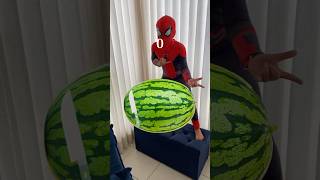 O Homem Aranha cortou a Melancia 🍉