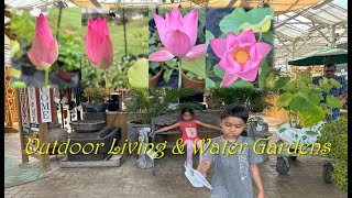 Outdoor Living and Water Gardens- Garden Center and Pond Supplies in NJ