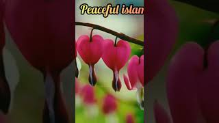 Surah Rahman #surah #surahrahman #youtubeshorts #viral