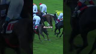 Betting on Horses  A Hilarious Take! 2024 11 02 1 #comedicgold #laughoutloud #betting #horses