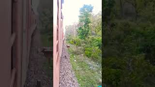 Haridwar train view #train #trainscene #nature #motichoor #jungle