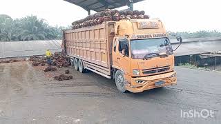 aktivitas truk sawit yg masuk luar biasa!!@suriadi kw loader