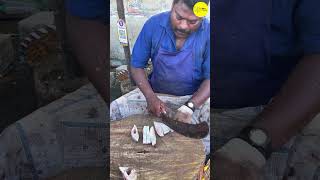 KASIMEDU SPEED SELVAM FISH CUTTING VIDEO \ cutting focus #kasimeduselvam #bigfishcutting