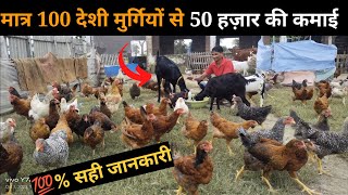 मात्र 100 देशी मुर्गियों से 50 हज़ार कमाना सीखें free ranj deshi poultry farm #deshimurgipalan