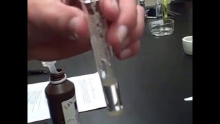 Catalase Enzyme Lab (Test 2: H2O2 + Sand) Mr Pauller