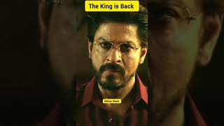 The King is Back #srk #pathaan #new #srkstatus #jawan #viral #fans #reels #shorts #trending #tiktok