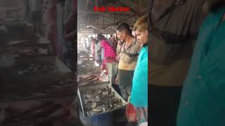 Fish Market in Bangladesh