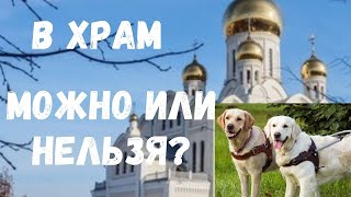 Собака-проводник в храме II Можно или нельзя?