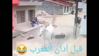 when you are in a hurry - لما تكون مستعجل و جوعان