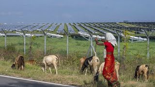 COP 29: ученые и инженеры убеждены, что "чистый ноль" возможен …