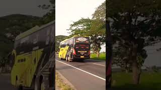 BUS SUDIRO TUNGGA JAYA "DELILLAH" LEGACY SR2 SCANIA K410IB‼️#shorts #sudirotunggajaya #busmania #stj