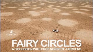 Fairy Circles Of Namibia - A Discussion With Prof Norbert Juergens