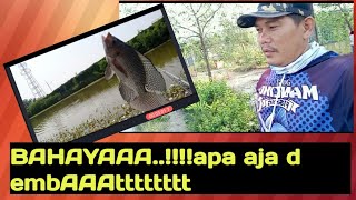 Ikan disini gak pilih pilih makanan,,,lumut haup,,cacing di mbat🎣🎣🎣🎣🎣