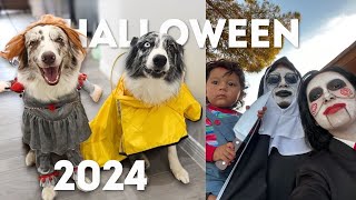 TRICK OR TREATING + GIVEAWAY WINNERS 2024