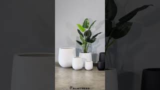 Fiberglass Pot กระถางไฟเบอร์กลาส รุ่น Tulip ใช้ได้ทั้งต้นไม้ปลอมและต้นไม้จริง แข็งแรง ทนทาน