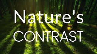 Fundamentals of Nature: Nature's Contrast and Duality | Shadow Work