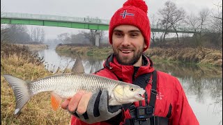 Зимовий спінінг, серія 3. Голавль на джиг. Полюємо на більшу рибу. Монстр клюнув! Рибалка на річці.