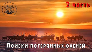 Поиск потерянных оленей 2 часть