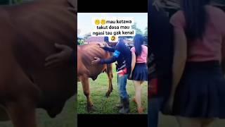 Bikin orang ketawa banget di kira sapi teryata papi #lucu #lucu komedi #kocak #bikinngakak