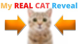 My REAL CAT Reveal!!!