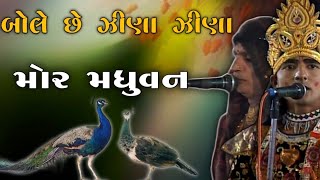 બોલે છે ઝીણા ઝીણા મોર મધુવન kan gopi kirtan mandali Bamnas જૂનવાણી મંડળી બામણાસા 2013