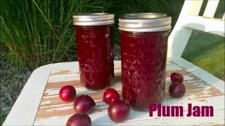 How to make Plum Jam