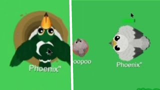 Getting Pakistan Toucan and Shaheen on Season 2 - Mope.io