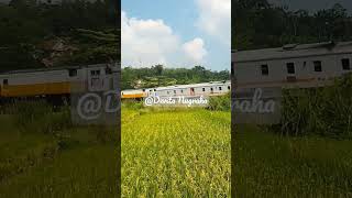 KERETA ARGO PARAHYANGAN MELIUK DI TIBER PADALARANG#keretaapi #shortvideo