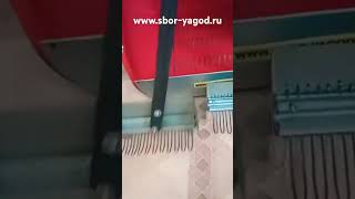 сбор ягод, комплекты для сбора черники брусники. https://www.sbor-yagod.ru/