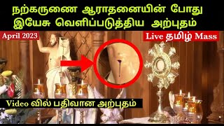 இயேசுவின் விழாவில் வழிந்த இரத்தம் #jesusmiracle #churchlivemass #velankannilivemasstoday