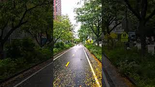 Fall in NYC | New York Fall