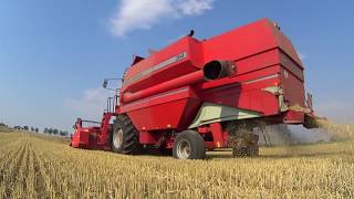 Żniwa 2017 | Massey Ferguson 34 | MF 5425 | Ursus 1002 | MasseyProject | Sony as200v | HD