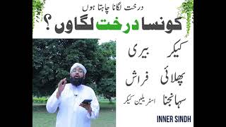 Kunsa daraht lagaye ? Is mufte se janie | Asif khan official