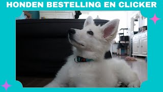 BESTELLING HONDENSHOP EN DE CLICKER DAGVLOG 108 2022