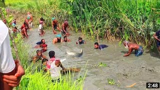 Best Hand fishing video   Amazing traditional Hand fishing video by village people   Fishing village