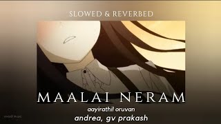 Maalai Neram (slowed & reverbed) - Andrea Jeremiah, G V Prakash Kumar | Aayirathil Oruvan