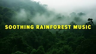 Soothing Rainforest Music- Relieve Stress, Anxiety and Depression