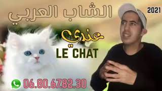 Cheb Larbi Aandi le chat _ الشاب العربي عندي le Chat