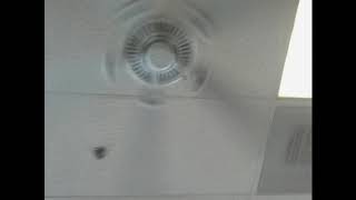 Ceiling Fans in an Office