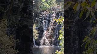 Waterfall North East India #trending #waterfall #shilong #music #song #shorts