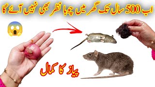 get rid of mouse | Chuhe baghane ka tarika | Rat killer trick | rat killer spray #kitchentips