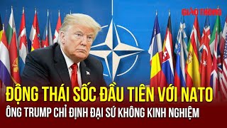 Ông Trump có động thái sốc đầu tiên, đưa người chưa biết mùi 'sóng gió chính trường' làm đại sứ NATO