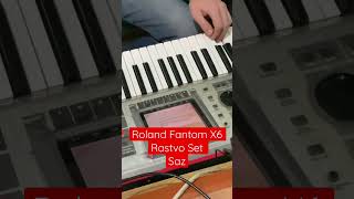 Roland Fantom X6 New Saz