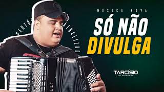 SÓ NÃO DIVULGA - TARCÍSIO DO ACORDEON ( MÚSICA NOVA )